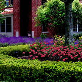 front yard landscaping northville