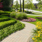 Landscaping in Canton MI